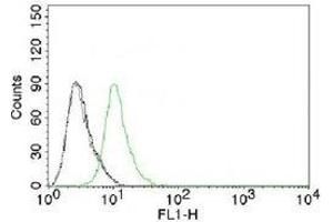 FACS testing of Jurkat cells and Alexa Fluor 488-labeled p27Kip1 antibody. (CDKN1B Antikörper)