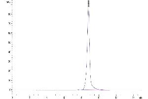 Size-exclusion chromatography-High Pressure Liquid Chromatography (SEC-HPLC) image for Advanced Glycosylation End Product-Specific Receptor (AGER) (AA 23-342) protein (His tag) (ABIN7273807)