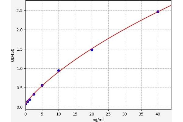 Kallikrein 10 ELISA Kit