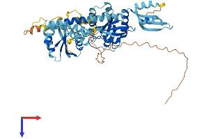 GTPBP6 Protein (AA 1-514) (His tag)