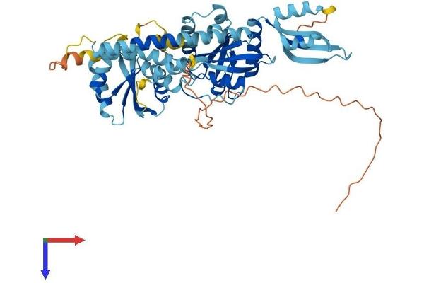 GTPBP6 Protein (AA 1-514) (His tag)