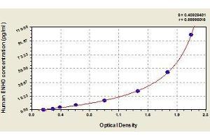 Typical standard curve (ENHO ELISA Kit)
