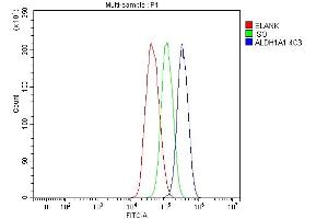 Flow Cytometry analysis of HepG2 cells using anti-ALDH1A1 antibody (ABIN7602128).
