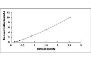 Typical standard curve (GALT ELISA Kit)