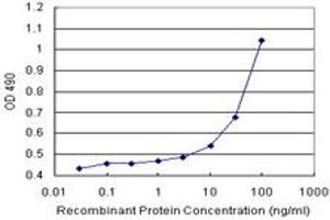 Sandwich ELISA detection sensitivity ranging from 10 ng/mL to 100 ng/mL.