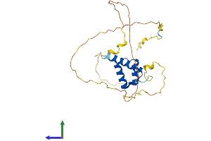 Protein Structure (PS) image for Homeobox B9 (HOXB9) (AA 1-250) protein (His tag) (ABIN7548359)