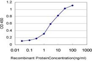 Detection limit for recombinant GST tagged ARMCX3 is approximately 0. (ARMCX3 Antikörper  (AA 278-379))