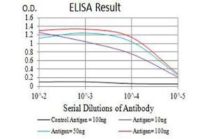 ELISA image for anti-ATG5 Autophagy Related 5 (ATG5) (AA 144-275) antibody (ABIN5611293)