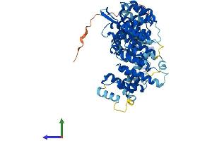 Protein Structure (PS) image for TH1-Like (TH1L) (AA 1-590) protein (His tag) (ABIN7549714)