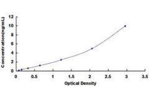 Aspartate beta-Hydroxylase (ASPH) ELISA Kit