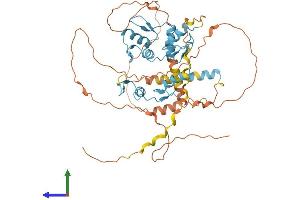 Protein Structure (PS) image for FEZ Family Zinc Finger 1 (FEZF1) (AA 1-475) protein (His tag) (ABIN7547722)