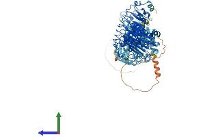 Protein Structure (PS) image for Leucine Rich Repeat Containing 8 Family, Member C (LRRC8C) (AA 1-803) protein (His tag) (ABIN7554424)