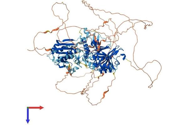 MAP1S Protein (AA 1-1059) (His tag)