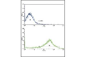 Flow cytometric analysis of NCI- cells using OPRS1 Antibody (N-term)(bottom histogram) compared to a negative control cell (top histogram). (SIGMAR1 Antikörper  (N-Term))