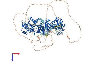 DLG2 Protein (AA 1-870) (His tag)