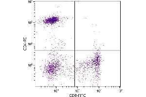 Human peripheral blood lymphocytes were stained with Mouse Anti-Human CD8-FITC. (CD8 Antikörper  (FITC))