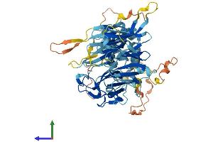 Protein Structure (PS) image for F-Box Protein 24 (FBXO24) (AA 1-589) protein (His tag) (ABIN7560969)