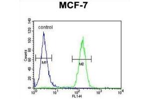 Flow Cytometry (FACS) image for anti-THO Complex 7 (THOC7) antibody (ABIN3004372) (THOC7 Antikörper)