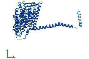AlphaFold protein structure predicition of Human Recombinant MT-ND5 Protein, UniprotID P03915