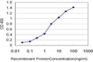 Detection limit for recombinant GST tagged CRYBB1 is approximately 0. (CRYBB1 Antikörper  (AA 1-252))