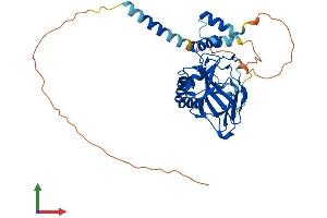 Protein Structure (PS) image for Aspartate beta-Hydroxylase Domain Containing 1 (ASPHD1) (AA 1-360) protein (His tag) (ABIN7557008)