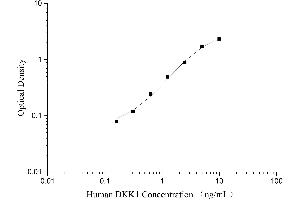 Dickkopf Homolog 1 (DKK1) ELISA Kit