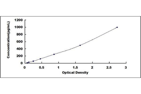 IL1F9 ELISA Kit