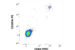 Flow cytometry dot-plot staining pattern of rVes v 5 recombinant allergen stimulated human peripheral whole blood lymphocytes and basophils of a proven allergic donor stained using anti-human CD63 (MEM-259) FITC and anti-human CD203c (NP4D6) PE antibodies .