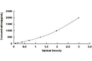 Typical standard curve (Collagen Type I ELISA Kit)