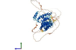 Protein Structure (PS) image for LON Peptidase N-terminal Domain and Ring Finger 3 (LONRF3) (AA 1-759) protein (His tag) (ABIN7549157)