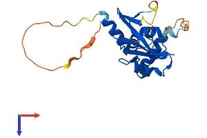 SOCS2 Protein (AA 1-198) (His tag)