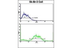 Flow Cytometry (FACS) image for anti-Protein Prenyltransferase alpha Subunit Repeat Containing 1 (PTAR1) (AA 60-89) antibody (ABIN652563)