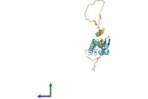Protein Structure (PS) image for Transmembrane and Ubiquitin-Like Domain Containing 1 (TMUB1) (AA 1-245) protein (His tag) (ABIN7561709)