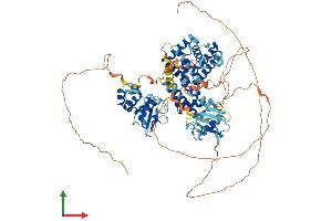 Protein Structure (PS) image for Ras and Rab Interactor 1 (RIN1) (AA 1-783) protein (His tag) (ABIN7555216)