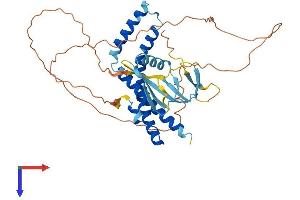 ELL3 Protein (AA 1-395) (His tag)