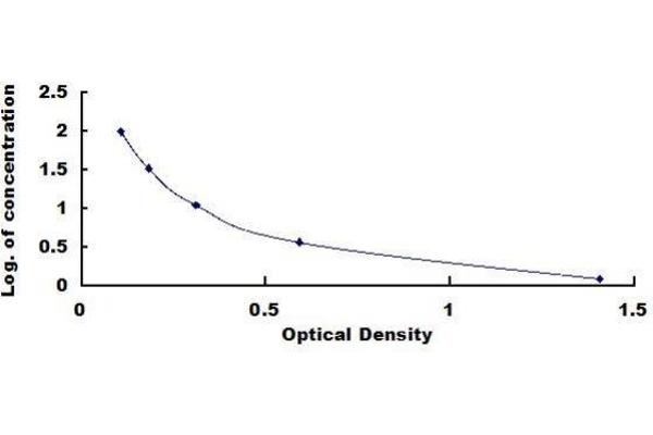 IgD ELISA Kit