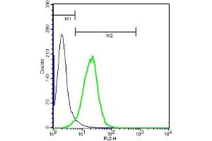 U937 cells probed with Rabbit Anti-CD40L Polyclonal Antibody (ABIN674439) at 1:100 for 40 minutes followed by incubation with Goat Anti-Rabbit IgG PE conjugated secondary  at 1:100 (green) for 40 minutes compared to control cells (blue). (CD40 Ligand Antikörper  (AA 31-150))