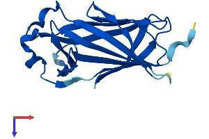 Cnrip1 Protein (AA 1-164) (His tag)