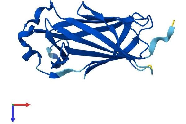 Cnrip1 Protein (AA 1-164) (His tag)