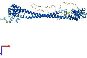 CDK5RAP3 Protein (AA 1-506) (His tag)