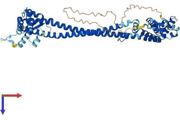 CDK5RAP3 Protein (AA 1-506) (His tag)