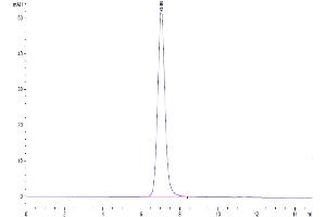 The purity of Human Nectin-4 is greater than 95 % as determined by SEC-HPLC. (PVRL4 Protein (AA 32-351) (His-Avi Tag))