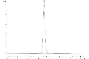 The purity of Human Nectin-4 is greater than 95 % as determined by SEC-HPLC. (PVRL4 Protein (AA 32-351) (His-Avi Tag))