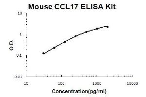 Mouse CCL17/TARC PicoKine ELISA Kit standard curve (CCL17 ELISA Kit)