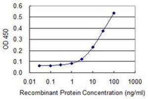 Detection limit for recombinant GST tagged FKBP10 is 1 ng/ml as a capture antibody. (FKBP10 Antikörper  (AA 377-470))
