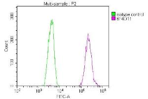 Overlay Peak curve showing U251 cells stained with ABIN7173630 (red line) at 1:100. (Tumor Suppressor Gene On Chromosome 11 (TSG11) (AA 1-145) Antikörper)