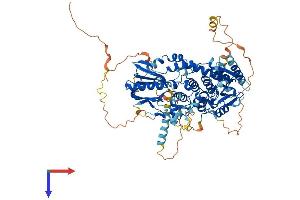 MTMR12 Protein (AA 1-747) (His tag)