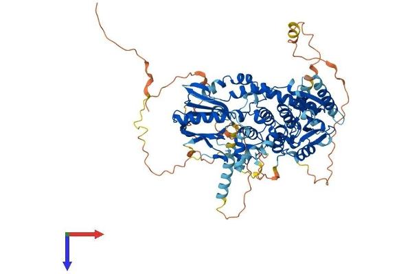 MTMR12 Protein (AA 1-747) (His tag)