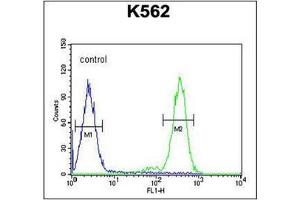 Flow Cytometry analysis of K562 cells using RTP4 Antibody (C-term) Cat.