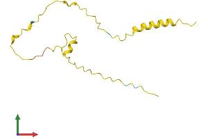 AlphaFold protein structure predicition of Mouse Recombinant Tnp2 Protein, UniprotID P11378